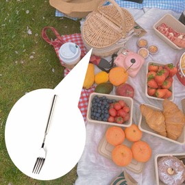 an 1 Piece Stainless Steel Telescopic Extendable Fork for Dinner Fruit Dessert Barbecue Toasting Long Handle Table Ware Utensil
