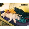Foxelli Self Inflating Sleeping Pad for Camping, Backpacking, Hiking, Insulated