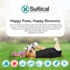 Suitical Recovery Suit for Dogs, Black, XS
