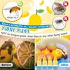 Qualirey Fruit Fly Trap for Indoor and Kitchen Use, 0.68