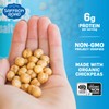 Saffron Road Roasted and Crunchy Sea Salt Chickpeas | High