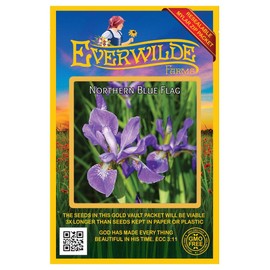 Everwilde Farms - 15 Northern Blue Flag Native Wildflower Seeds - Gold Vault Jumbo Seed Packet