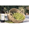 Nobleza del Sur Tradicion 1640 Picual Extra Virgin Olive Oil