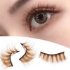 False Eyelashes 10 Pairs Brown Natural Eyelashes Fluffy Cat Eye