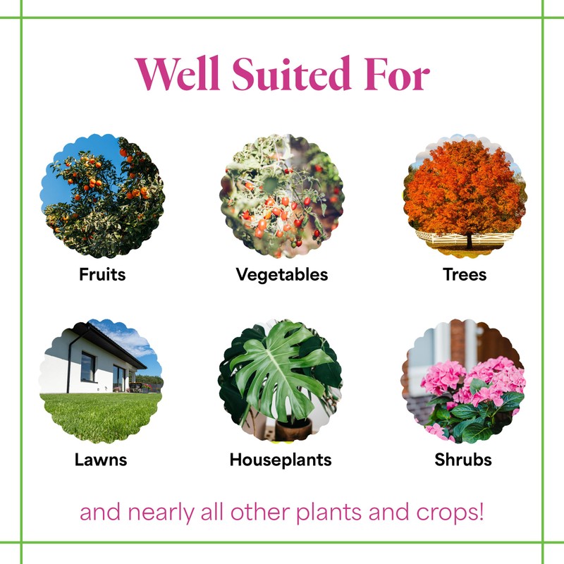 Grow More All-Season's Plant Food (20-20-20 Fertilizer) - 5lbs of