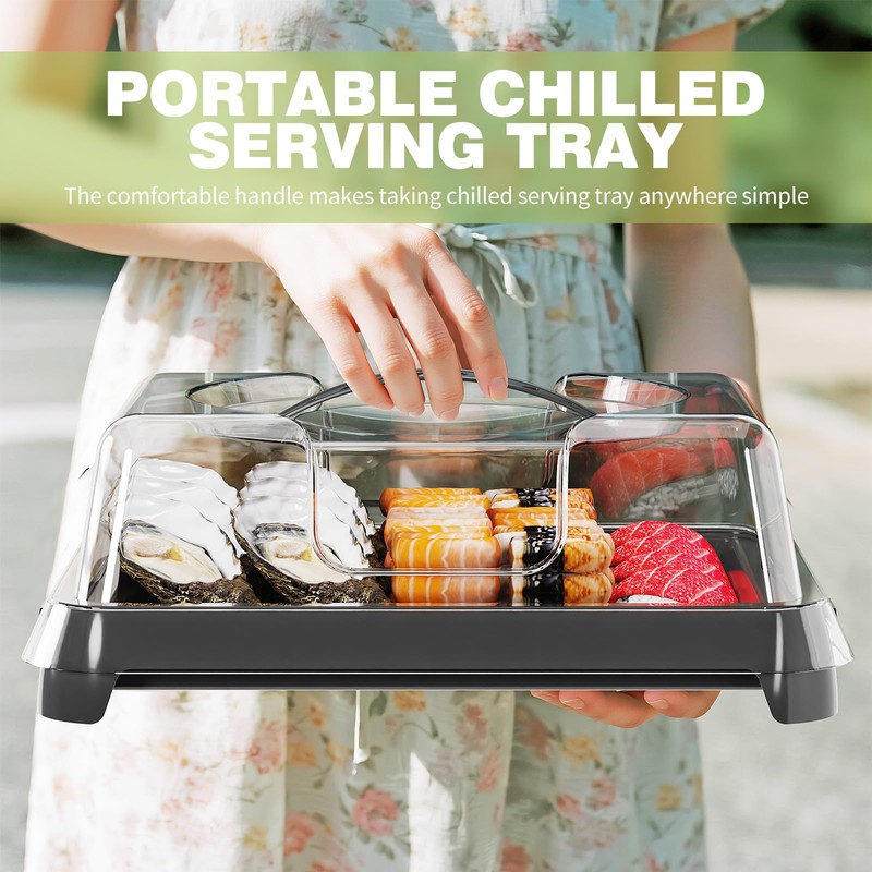 Chilled Portable Serving Tray Platterbox Snack Box with Reusable Ice