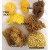 Artists Painting Natural Sea Sponges value pack - 7 pieces