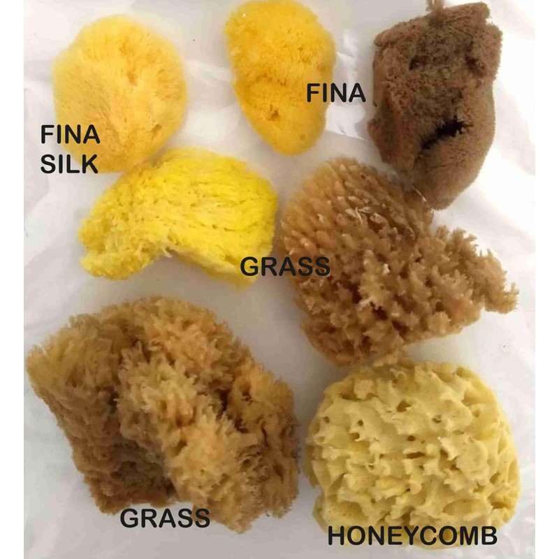 Artists Painting Natural Sea Sponges value pack - 7 pieces