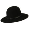Jeanne Simmons Men's Wool Felt Large Brim Fedora - Black
