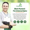Outsidepride Black Mustard Seeds - 5000 Pcs Nutrient-Rich, Flavorful Annual
