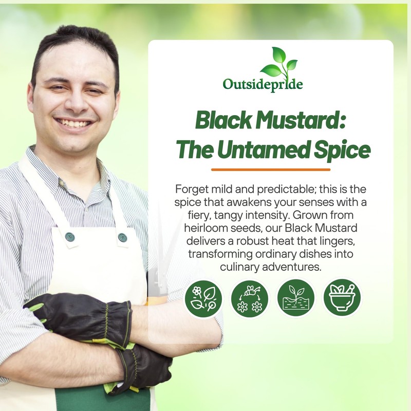 Outsidepride Black Mustard Seeds - 5000 Pcs Nutrient-Rich, Flavorful Annual