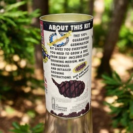 Jonsteen company Grow a Tree! Redwood Giant Sequoia Germination Kit Genuine Tree Seed Johnsteen