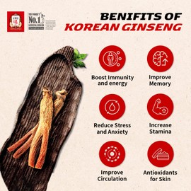 CheongKwanJang 100% Korean Red Ginseng Extract 120G