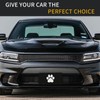 White Dog Paw Footprint License Plate - 6x12 Inch Aluminum
