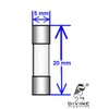 10 Qty. Divine Lighting 5X20mm 6.3A Fast-Blow Fuse 250v 6.3A;