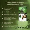 Red by Kiss Color Change Shampoo – Permanent Hair Color
