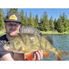 Major Fish Premium Predatory Fish Box Fishing Gift for Fishermen