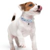 Faygarsle Blueberry Pattern Dog Collar for for Summer Small Medium