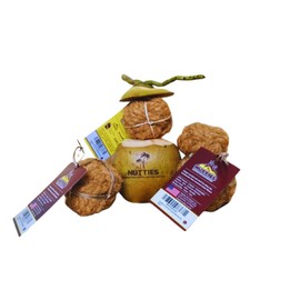 Nutties for Dogs - Natural Coconut Fiber Ball Toy and Magic Toothbrush - 2 Sizes (Small)