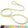 POUPUA 6FT Durable Slip Lead Dog Leash, Heavy Duty 3/8"