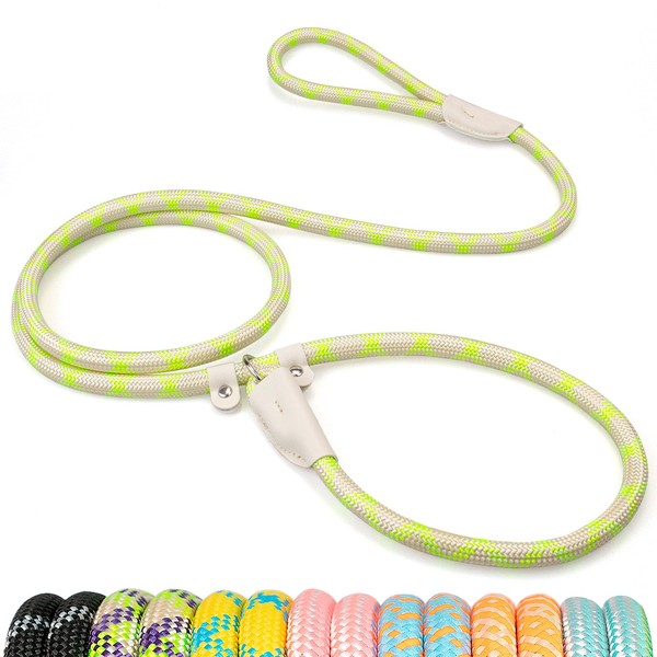 POUPUA 6FT Durable Slip Lead Dog Leash, Heavy Duty 3/8"