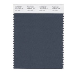 PANTONE Smart 19-4220X Color Swatch Card, Dark Slate