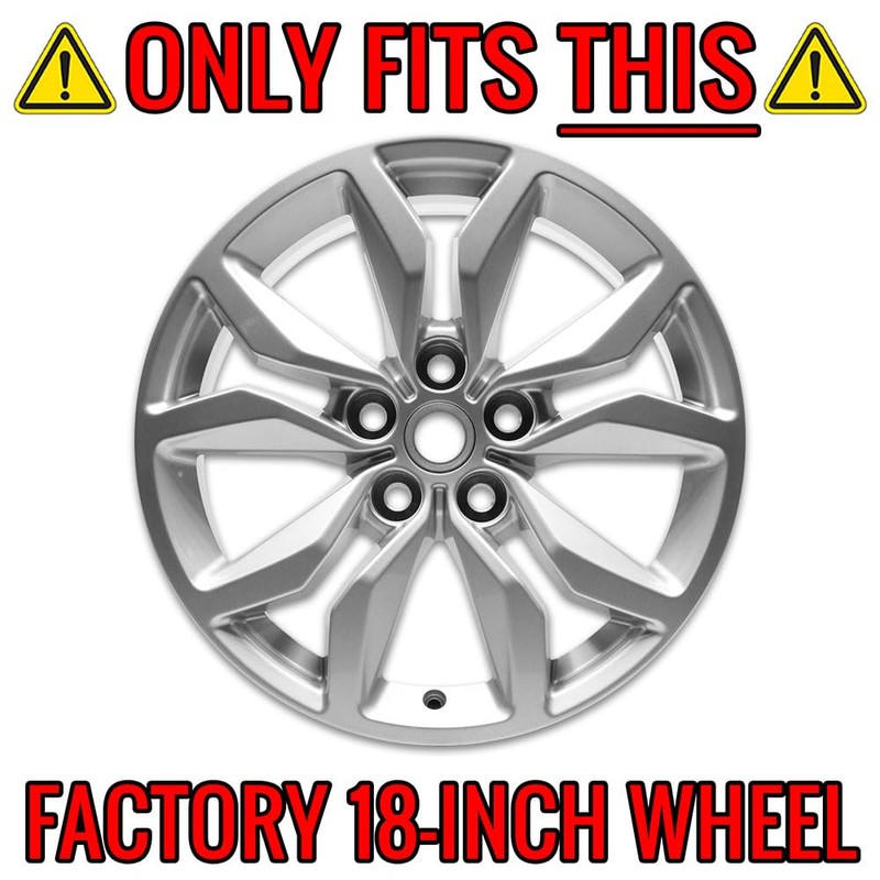 Auto Reflections Set of 4 18" 10 Spoke Wheel Skins