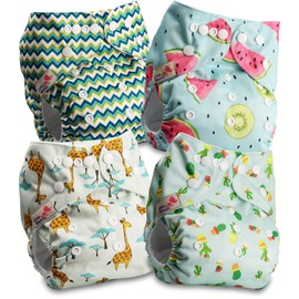 Littles and Bloomz Reusable Nappy, Standard Popper, 4 Nappies, FLP2-0401