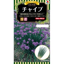 Takii Seedling Herb Chive