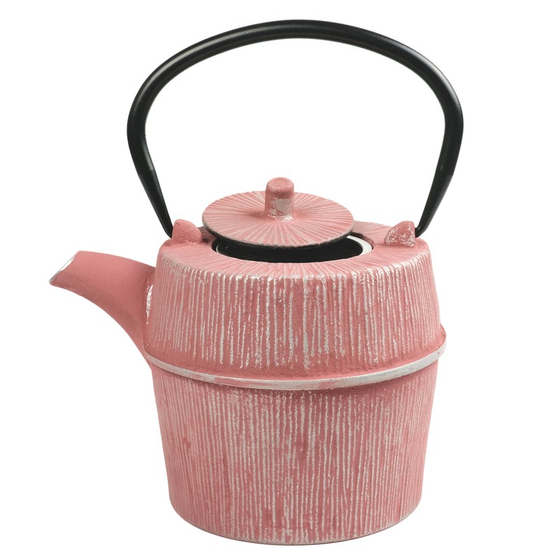 Creative Home Kyusu Cast Iron Pot Tea Kettle with Removable