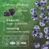 Known Known Delicious Lion's Mane Gummies - 1000mg Lion's Mane