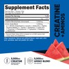 Nutricost Creatine + Aminos 30 Servings (Watermelon Flavored) - 5,000mg