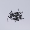 Create idea 30pcs D Rig Aligners Rubber Carp Fishing Kickers
