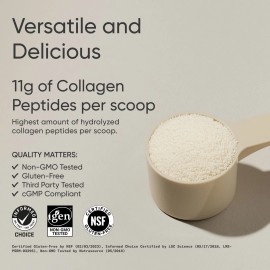 Péptidos de colágeno - Suplemento de proteína de colágeno en polvo hidrolizado tipo 1 y 3