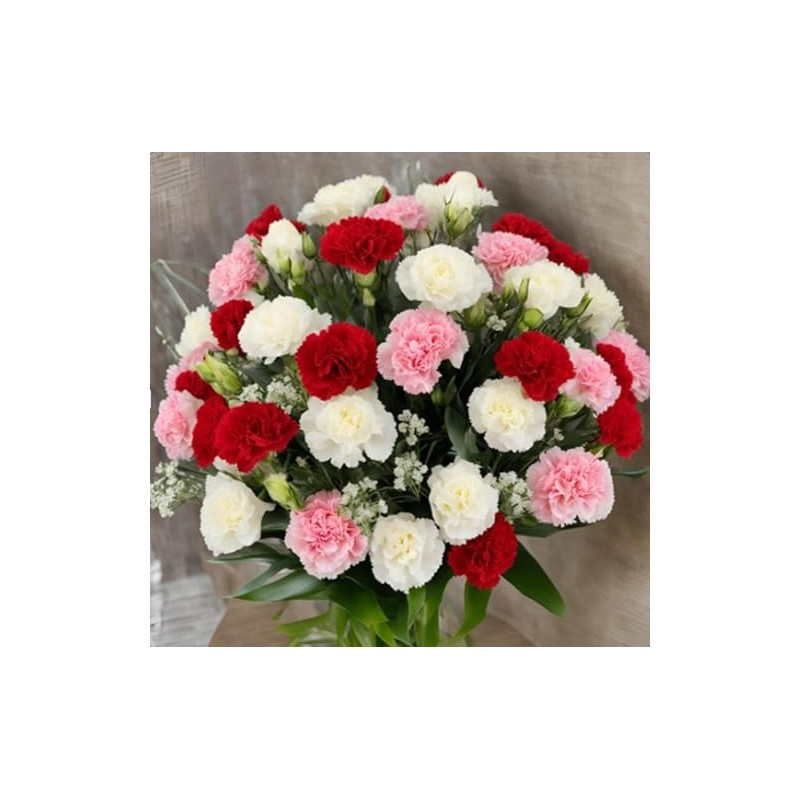 KaBloom Flowers - 18 Assorted Carnation Without Vase - Gift