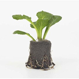 Viridis Hortus - Jiffy-7 50 x 33mm Propagation Plug Pellets (No Root Disturbance - Better Plant Survival)