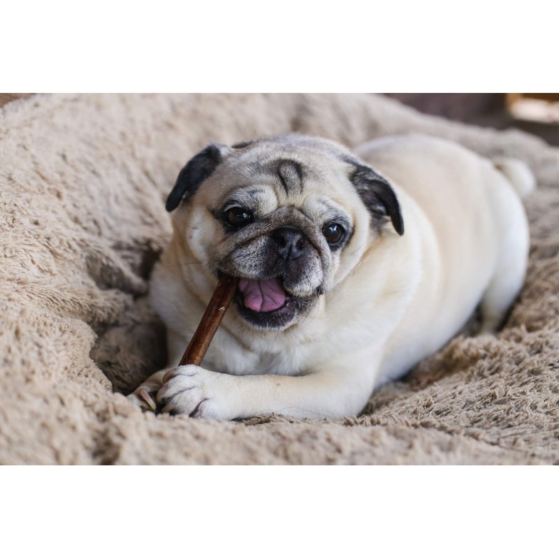 Top Dog Chews 6” Bully Sticks –100% Natural, Grass-Fed Beef