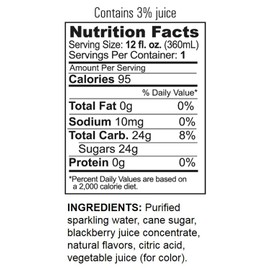 GuS Soda - Dry Blackberry - 12 oz (12 Glass Bottles)