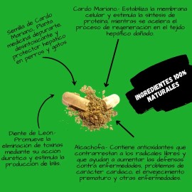 Detox 100% Natural De Uso Diario Para Perros Y Gatos 90 Pz