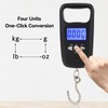 Fishing Scale, 50 kg Hanging Scale, Luggage Scale, Digital Suitcase