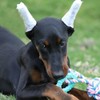 Yardwe 1 Set Doberman Pinscher Ear Stick Puppy Ear Stand