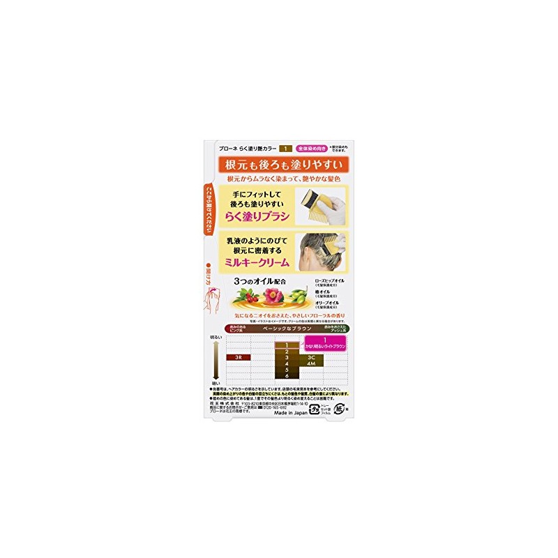 Braune Easy Paint Gloss Color 1 3.5 oz (100 g)