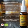 Organic Propolis Tincture - Pack - 2 Bottles 20ml Each