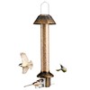 Roamwild PestOff Squirrel Proof Bird Feeder (Antique Gold)