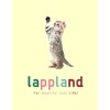 lappland Cat Stuffed Toy, Fish, Rat, Single Item Set, Cat