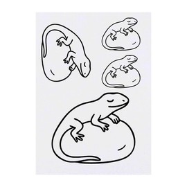 4 x 'Lizard' Temporary Tattoos - Water Resistant, Skin-Safe, Non-Toxic Transfers, Mixed Sizes (TO00086162)