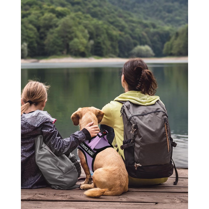 FAYOGOO Service Dog Vest for Small Breed - Lightweight Dog