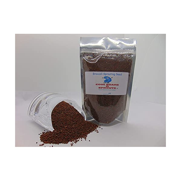 Broccoli Seeds for Sprouting Microgreens, 6 oz Bag,A superfood Packed
