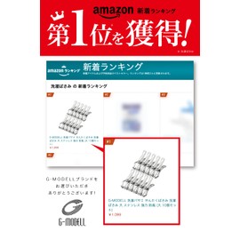 G-MODELL Clothespins, Stainless Steel, Strong, Windproof, (Pack of 10, Large)