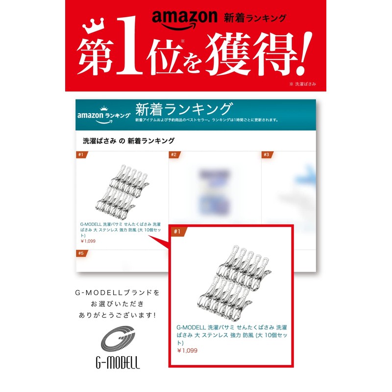 G-MODELL Clothespins, Stainless Steel, Strong, Windproof, (Pack of 10, Large)